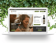 Our projects related to : 