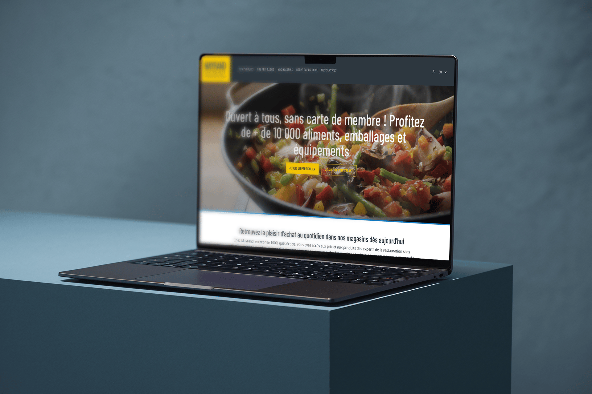 Ordinateur portable montrant le héros de la page d'accueil du site de Mayrand.