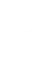 Vector