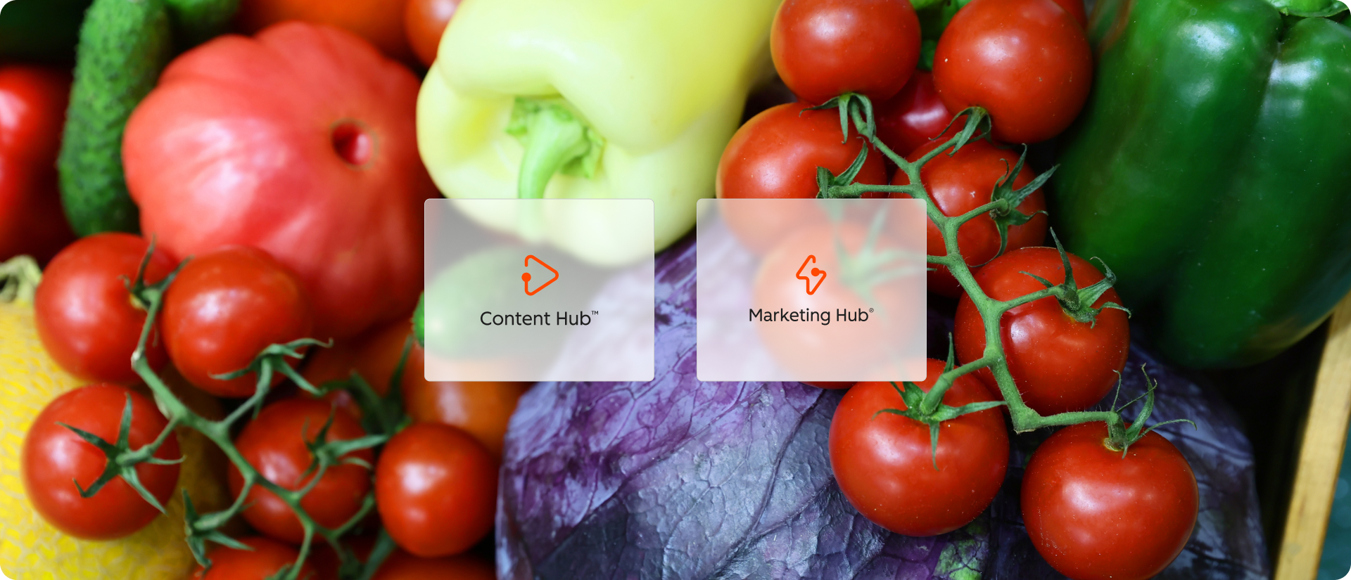 Hubs d'HubSpot utilisés lors de la migration du site de Mayrand