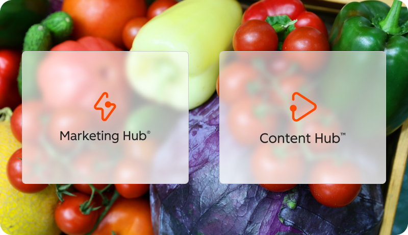 Hubs d'HubSpot utilisés lors de la migration du site de Mayrand