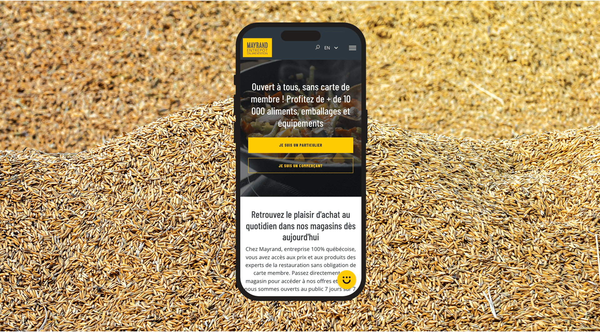 Version mobile de l'accueil du site web de Mayrand