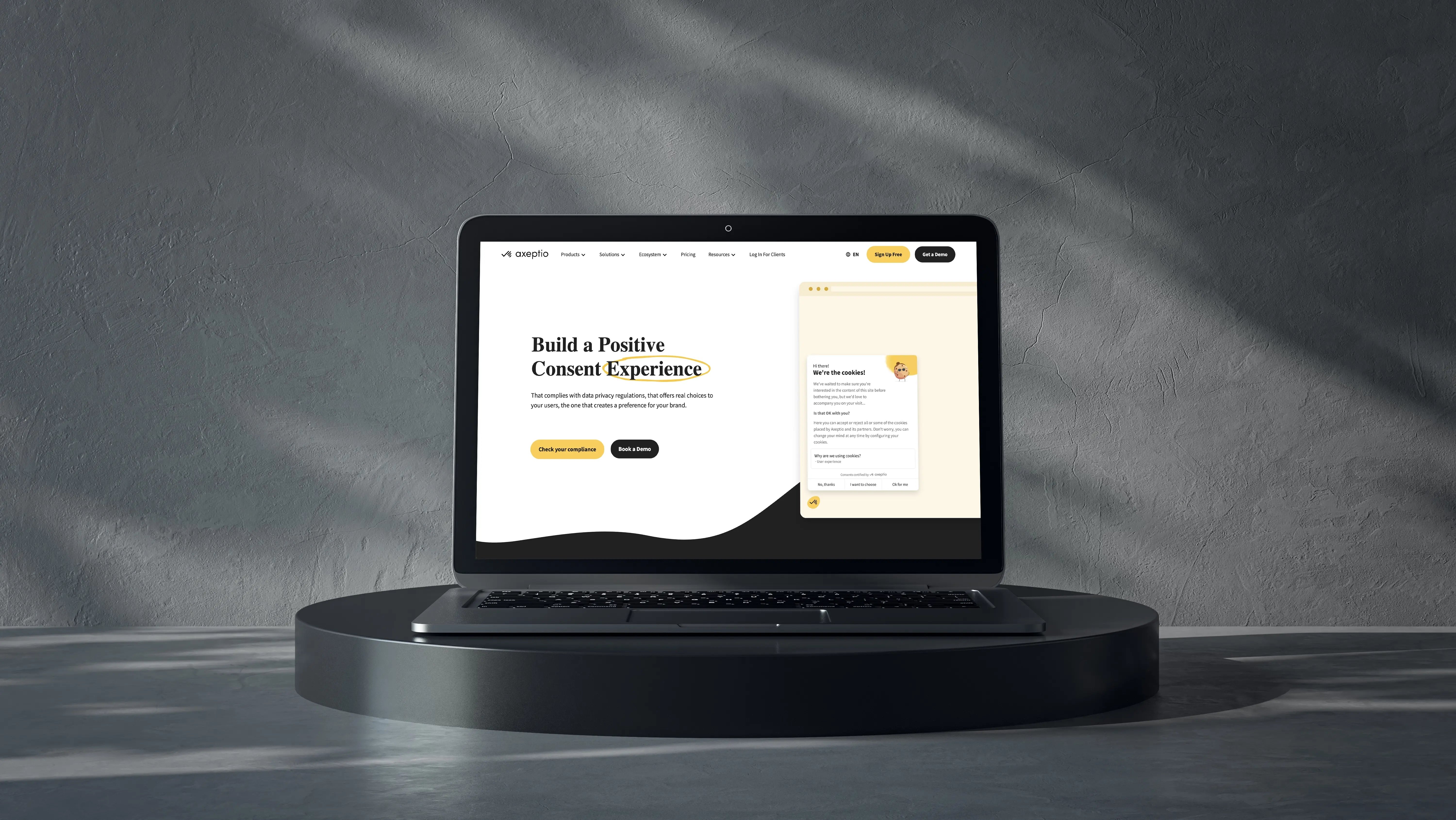 Aperçu du site web sur un écran d'ordinateur