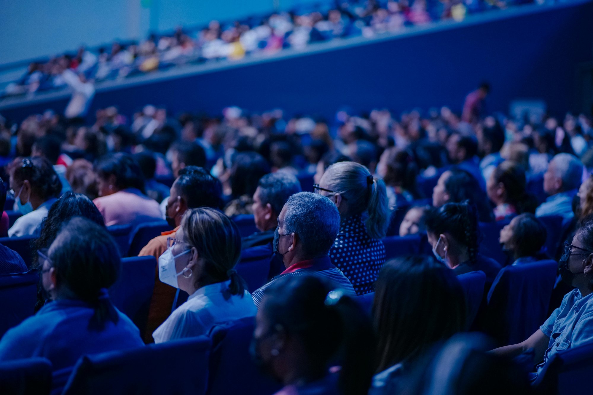 pexels-jibarofoto-15325468