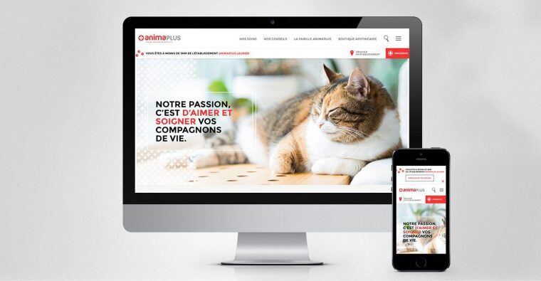 View of animaPlus website, on computer and cell phone