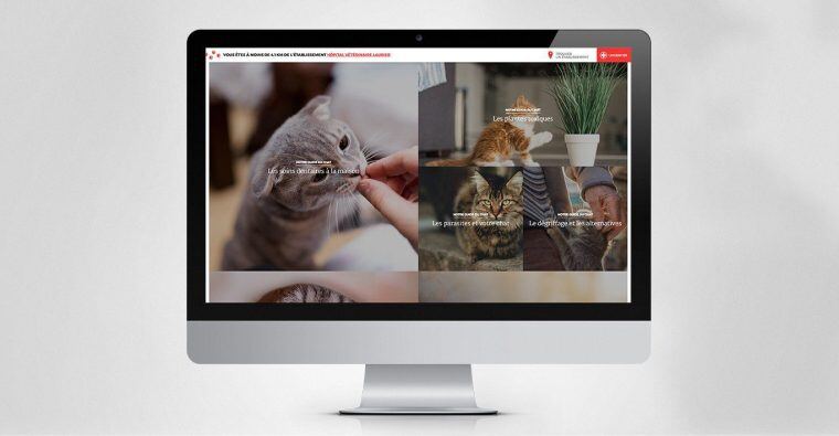 View of Lainco website, on computer 