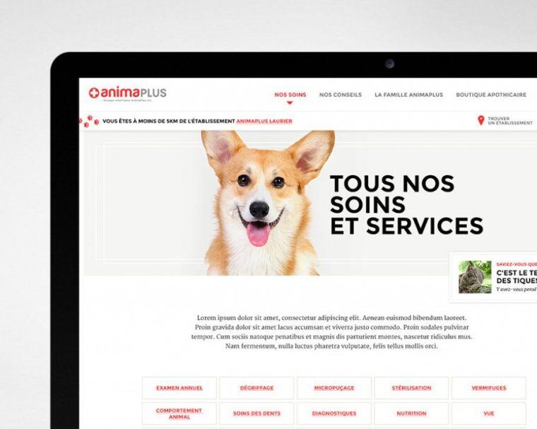 View of Lainco website, on computer